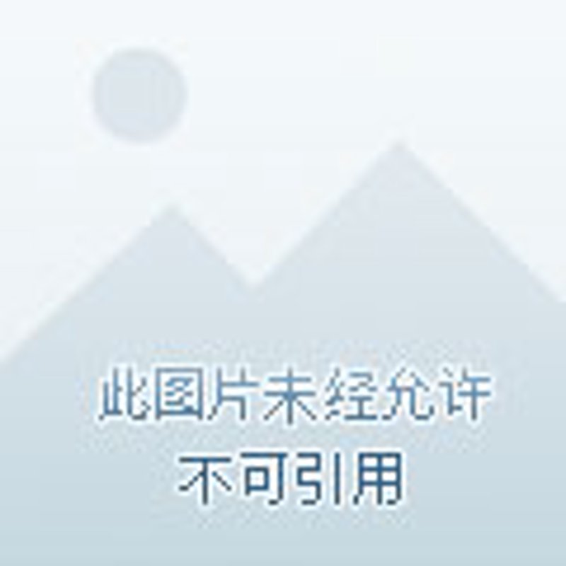 重庆善绍