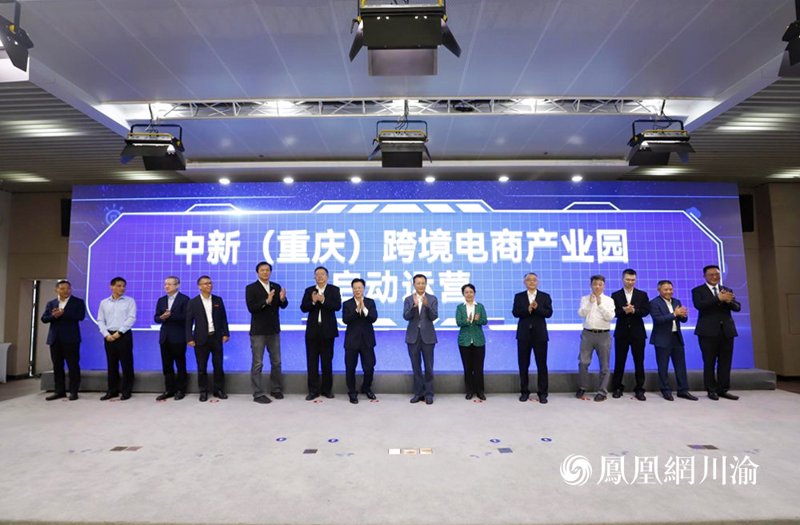电商行业的未来：电子商务师如何抓住机遇